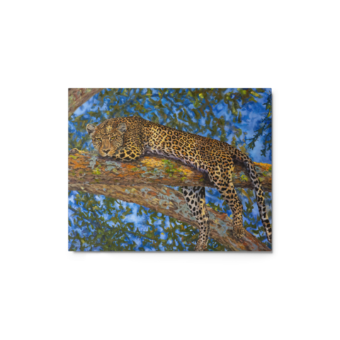 Where Leopards Lie - Metal - 8″×10″
