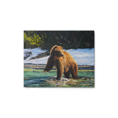 Springtime Fishing - Metal - 8″×10″