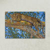 Where Leopards Lie Mockup 1